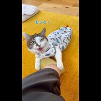 もっと！
