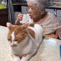 飲み物を飲もうとするおばあちゃん