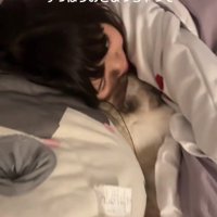 一緒に寝る猫と女の子