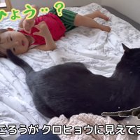 黒豹のようなくまごろう