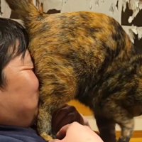 飼い主の顔におしりを押しつける猫