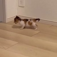 何かに気づいたようなつむぎちゃん
