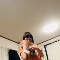 娘さんに抱っこされる三毛猫