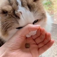 輪っかに口を入れる