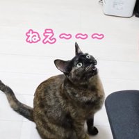 話しかけるももちゃん