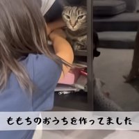 テロップ「ももちのおうちを～」