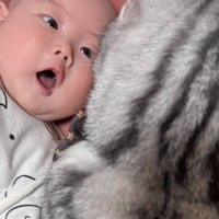 猫を見て驚く赤ちゃん