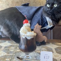 喫茶店のパフェと黒猫