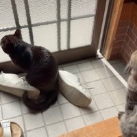 向こうを見るふたり