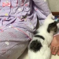 落ちる