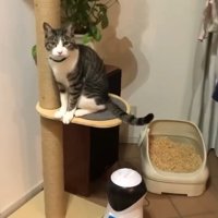 こちらを向いた姿