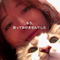 猫と人の写真