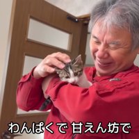 テロップ「わんぱくで～」