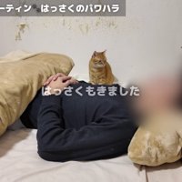 へちまちゃんとはっさくくん
