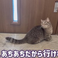 あちあちだから