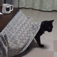 こたつから出てくる黒猫