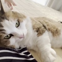 こちらを見ながら腕枕