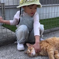猫をなでる女の子