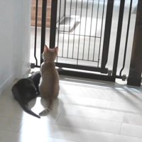 待っているふたり