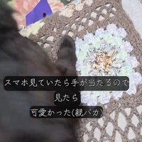 背中を向ける猫
