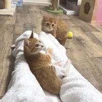 足の間で遊ぶ