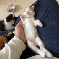 伸びた姿