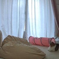 接近するふたり
