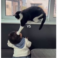 猫と赤ちゃん