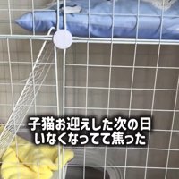 ケージの中にあるトイレ