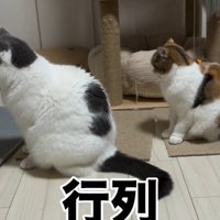 「行列」と書かれた写真