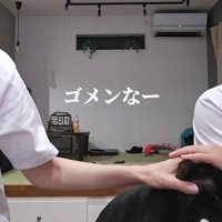 撫でられる猫