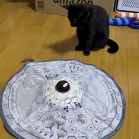 様々な動きで回る猫じゃらしのおもちゃ