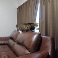 カーテンを開けて