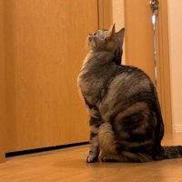 ドアの前に座り込むジャックくん