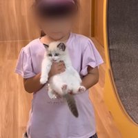 抱っこ