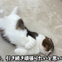 テロップ「さて、引き続き～」