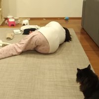 反復横跳び