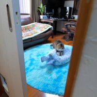 遠目から