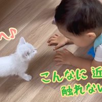 こんなに近いのに