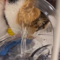 水がほっぺにあたる様子（アップ）