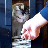手を近づけて
