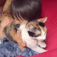 ベッドの上の男の子と猫