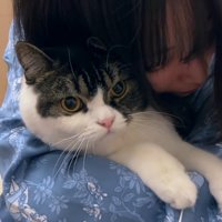 顔のアップ