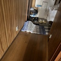 玄関マットの下に隠れるキジ白猫