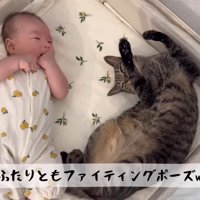 ベビーベッドで寝る赤ちゃんとキジトラ猫