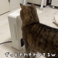 ずっとそわそわ