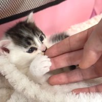 投稿主さんの手に