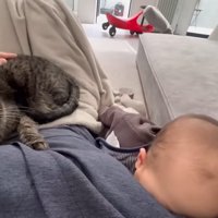 顔を押しつける赤ちゃん