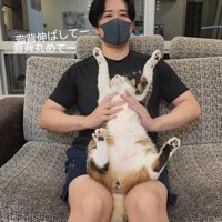 バンザイする猫