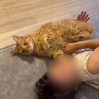 転がるふたり